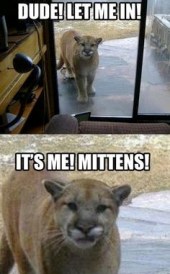 d5ae9e75958b0ba0bada4b11506cad10