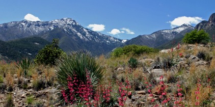 Sierra%20Vista%20-%20resized